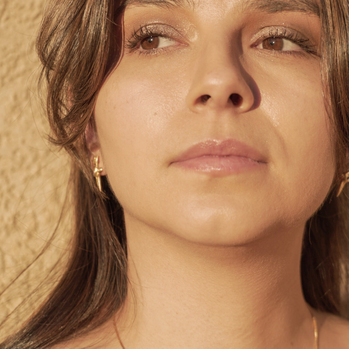 Daggers with Heart Garnet Posts