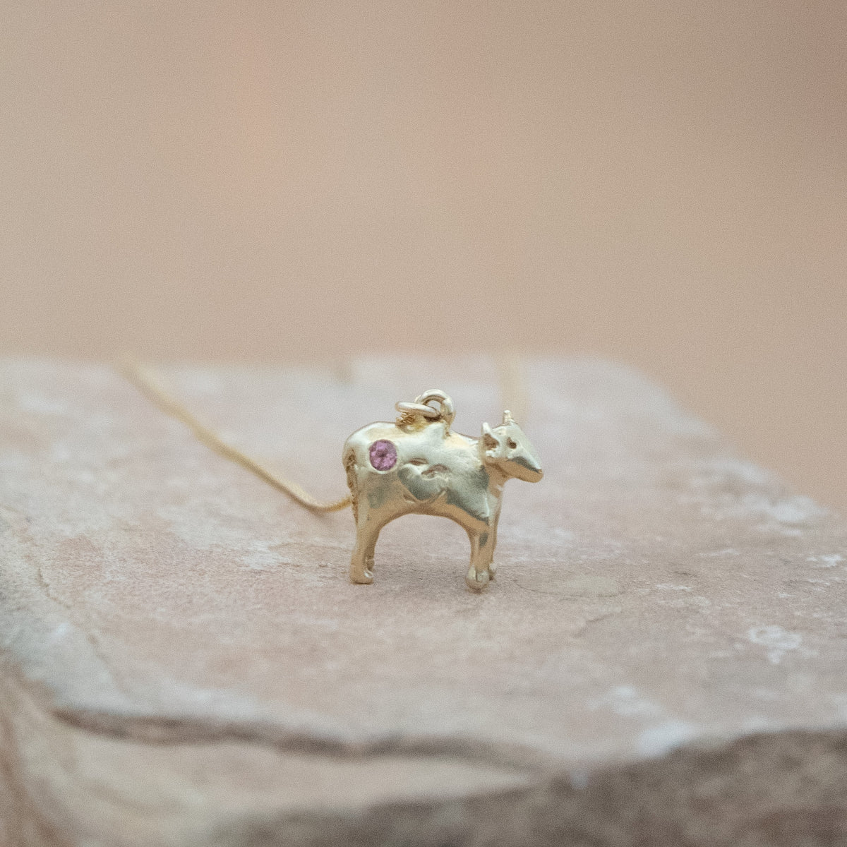 Petunia with Tourmaline